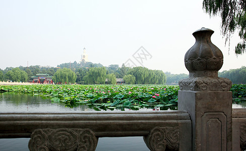 北京紫禁城附近的Beihai公园中心游客历史地标吸引力寺庙百合首都居民皇帝图片