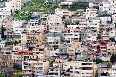 冷极村东耶路撒冷的阿拉伯Silwan村背景