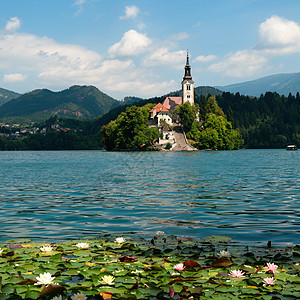 斯洛文尼亚的Lake Bled顶峰假期地方色彩森林文化山脉天空风景村庄图片