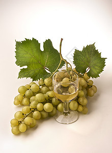 葡萄酒杯树叶玻璃藤蔓葡萄园白酒收成图片