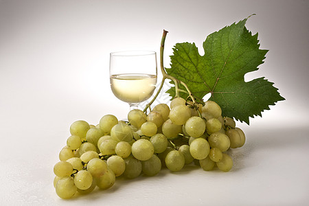 葡萄酒杯玻璃葡萄园白酒藤蔓收成树叶图片