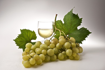 葡萄酒杯玻璃收成葡萄园树叶白酒藤蔓图片