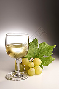 葡萄酒杯白酒葡萄园收成玻璃树叶藤蔓图片