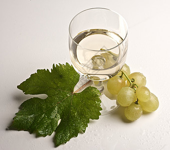 葡萄酒杯收成玻璃白酒葡萄园藤蔓树叶图片