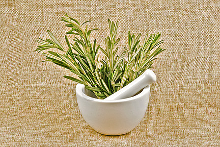 罗斯玛丽白色植物香料叶子草本植物迷迭香食物绿色烹饪百里香图片
