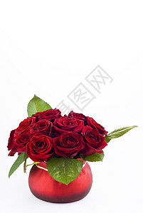 锅里的玫瑰红色白色惊喜展示礼物植物学花瓣念日芙蓉花束图片
