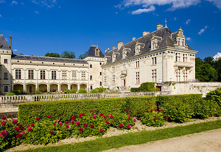 法国园艺花园植被建筑植物旅行纪念碑兄弟历史宫殿图片