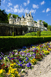 中心 法国植物群世界三色建筑学园艺建筑物花园植物花坛旅行图片