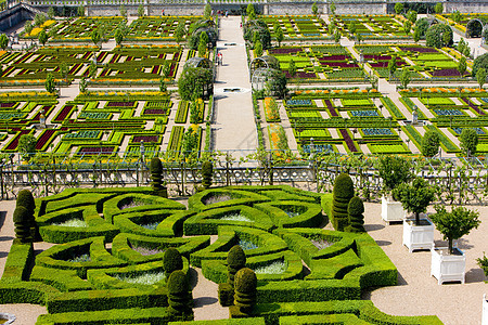 法国中心的Villandry城堡花园花坛植物学城堡世界旅行植物群植物命令外观园艺图片