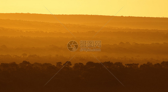 非洲日出阴影衬套大草原国家风景野生动物日落橙子阳光公园图片