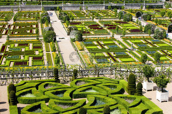 法国中心的花园植物学外观世界宫殿园艺命令艺术植物城堡植物群图片