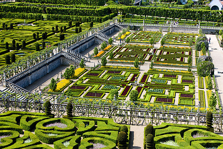 法国中心的Villandry城堡花园花坛艺术外观园艺植物群植被植物世界世界遗产城堡图片