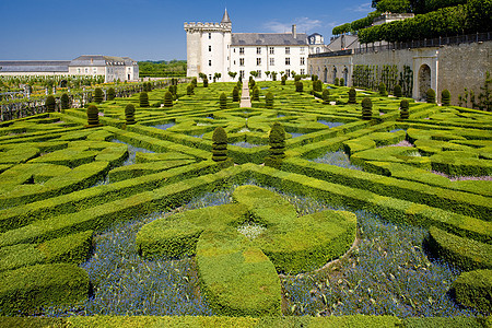 法国中心花园的Vendry城堡园艺宫殿花园外观花朵历史建筑配菜世界遗产景点图片