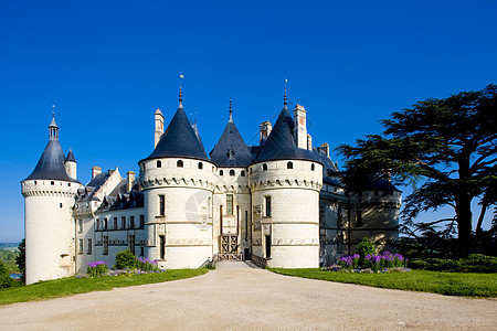 法国城堡中心 法国宫殿世界遗产世界历史性外观景点历史旅行纪念碑建筑图片