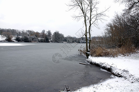 冬季湖反思公园天气场景雪景天空树木池塘国家风景图片