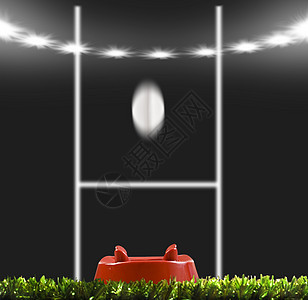 橄榄球踢到橄榄球场的柱子草地娱乐杯子地面优胜者乐趣比赛场地季节游戏图片