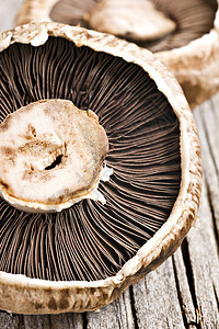 露地深度极浅的健康的新鲜蘑菇烹饪按钮蔬菜桌子厨房木板香菜美食收成木头图片