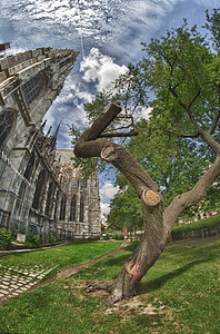 维也纳Burggarten的树木和古迹雕像假期历史性入口蓝色城堡天空金子旅行公园图片