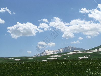 阿尔卑斯山草原冰川花朵斜坡风景青菜旅游旅行路线植被高山图片