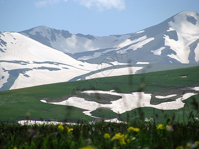 阿尔卑斯山草原斜坡山丘全景花朵青菜路线天空高山旅行冰川图片