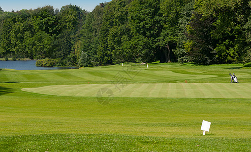 森林高尔夫高尔夫课程球道陷阱绿色场地游戏掩体推杆草地旗帜图片