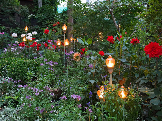 带灯具的美丽的花园图片