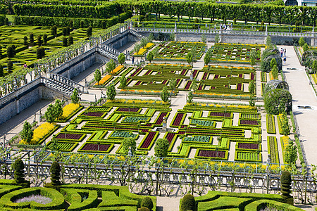 法国中心的花园艺术配菜命令世界花坛世界遗产城堡植物植物群旅行图片