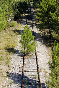 跑道西班牙索里亚省 卡斯蒂利亚和莱昂岛线条外观曲目树木铁路运输铁轨运输交通工具轨迹铁路背景