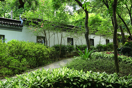 中国花园天空竹子池塘环境分支机构公园园艺松树艺术花朵图片