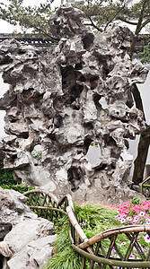 中国苏州有名的齐济林花园森林房子狮子编队植物建筑物池塘吸引力住宅岩石图片