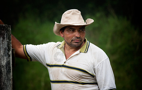 哥斯达黎加男男子英俊的牧场手工人大男子国家牧童牧场主成人主义乡村牛仔丛林图片