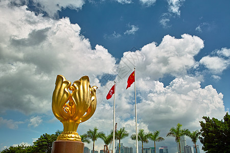 金金博希尼亚广场旅行旗帜天空地标紫荆花旅游图片