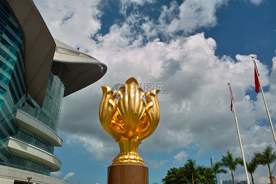 金金博希尼亚广场紫荆地标旗帜旅行旅游天空图片