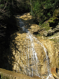 瀑布树木自然保护区岩石木头河流宽慰石头全景溪流峡谷图片