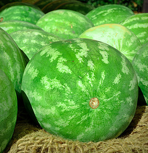 西瓜甜瓜食物水果饮食维生素条纹背景图片