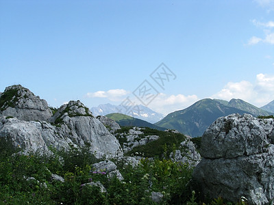 主要高加索山脊登山距离岩石山丘树木高山植物群山峰解脱旅行图片