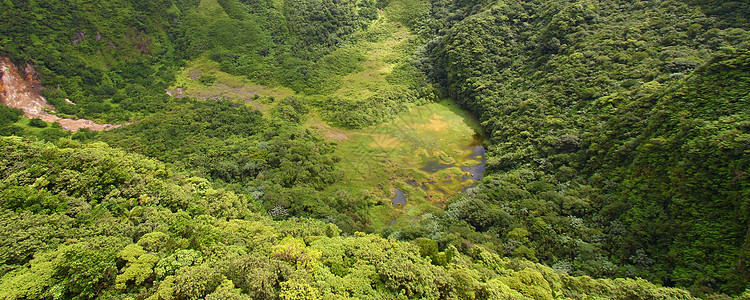 圣基茨天堂杂草火山陨石休眠热带背风爬坡海拔植被图片