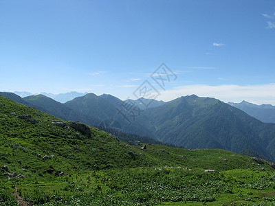 山山脉石头斜坡轨道岩石花朵风景植物群解脱生物文件图片