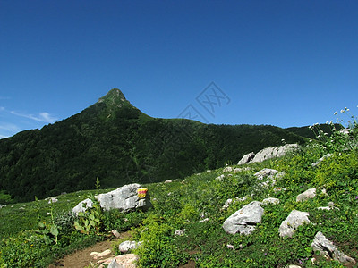 山山脉斜坡植被高山高原解脱草甸生物山丘天空岩石图片