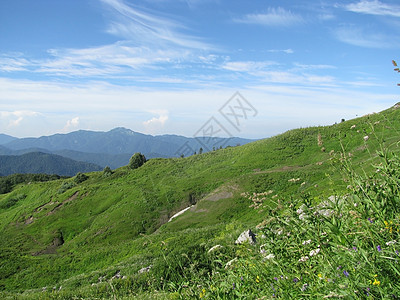 山山脉解脱旅行岩石石头山丘全景植物群青菜草甸天空图片