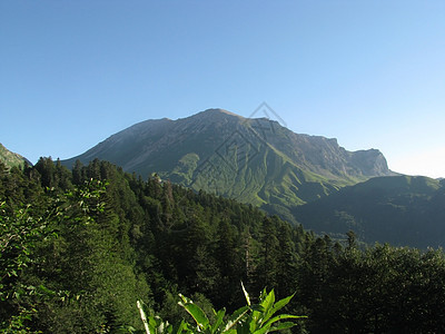 山山脉石头植被全景高山轨道高地路线高原旅行花朵图片