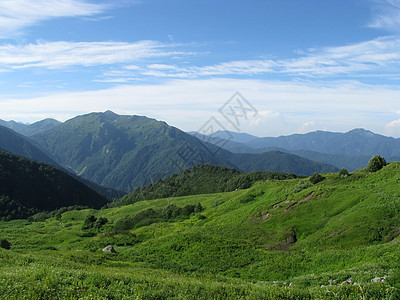 山山脉高地花朵草甸旅行轨道文件植物群生物解脱斜坡图片