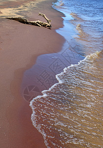 席卷沙海岸的波浪图片