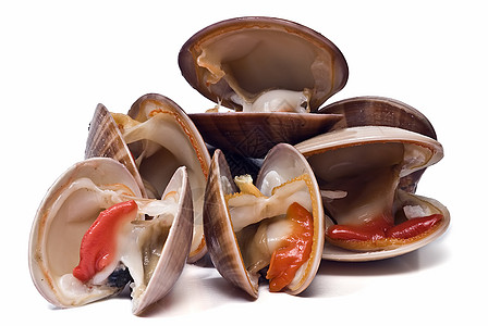 平滑的蛤美食小吃橙子盘子蝴蝶营养饮食产品壳类贝类高清图片