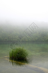 江河衬套流动风景天气公园阴霾天空薄雾森林木头图片