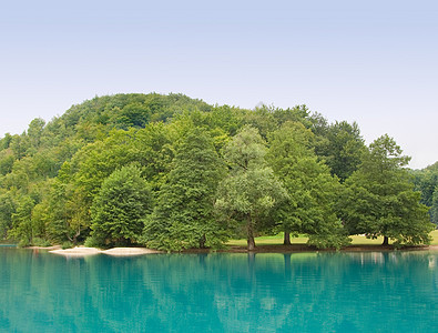 湖树叶公园美丽天堂森林叶子植被溪流生育力生态图片
