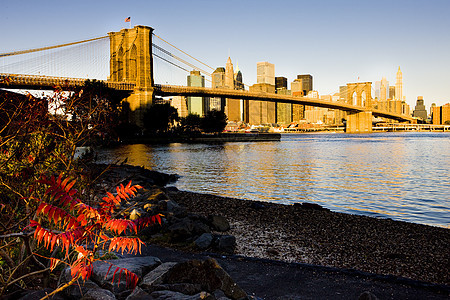 曼哈顿与布鲁克林桥 美国纽约市世界景观市政外观风光建筑物建筑学河流地标桥梁图片