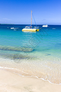 多巴哥伊尔维内湾山船只海岸海滩血管世界岛屿旅行位置热带海景图片