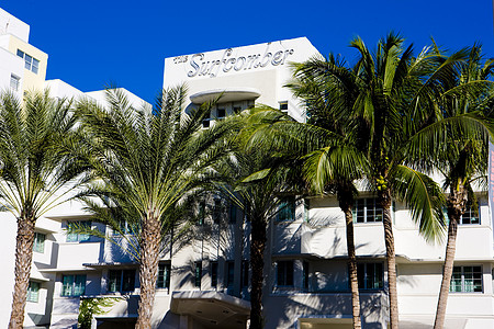 美国佛罗里达州迈阿密海滩Art Deco区酒店装饰建筑学手掌旅行位置世界城市艺术建筑图片