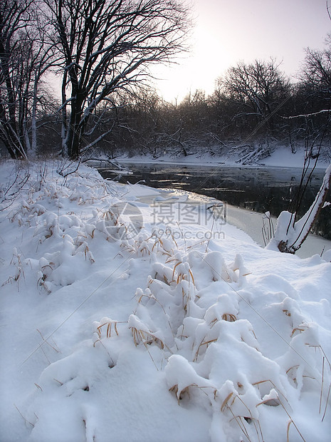 伊利诺伊州新的降雪太阳环境寒冷冻结精神日出寒意溪流图片